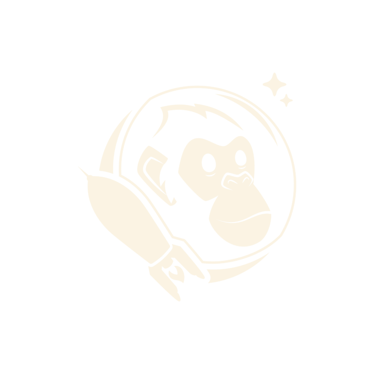 Rocket Chimp Creative Marketing Agency in Orlando