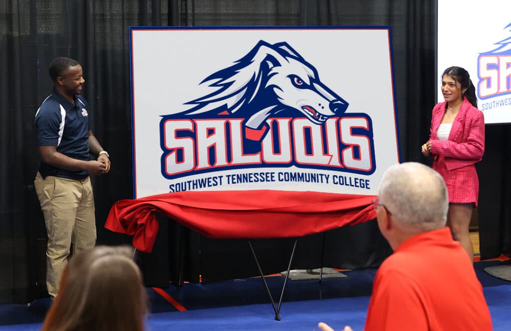 Saluqis logo-reveal